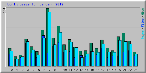 Hourly usage for January 2012