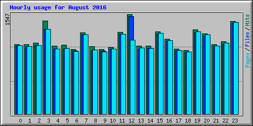 Hourly usage for August 2016