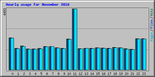 Hourly usage for November 2016