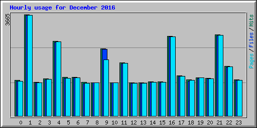 Hourly usage for December 2016